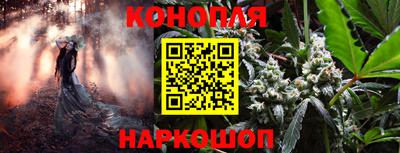 ешки Новокубанск