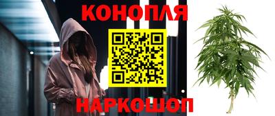 ешки Новокубанск