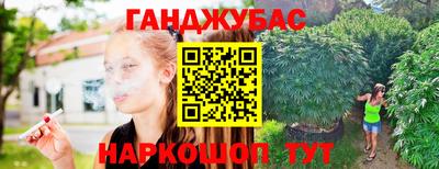 ешки Новокубанск
