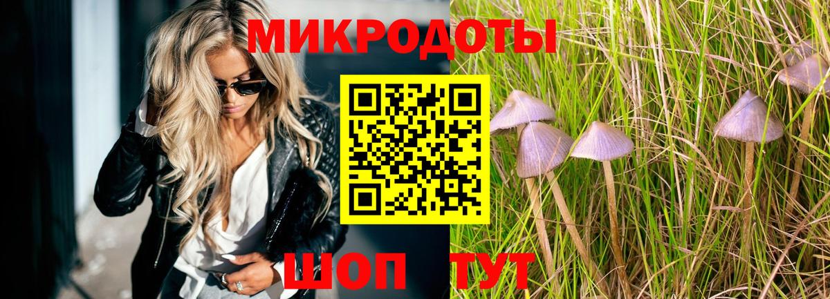 Псилоцибиновые грибы Psilocybine cubensis Рославль