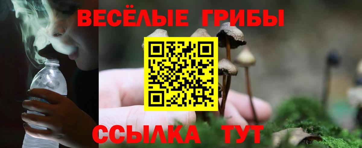 Рославль  Псилоцибиновые грибы мицелий  Вход с VPN 